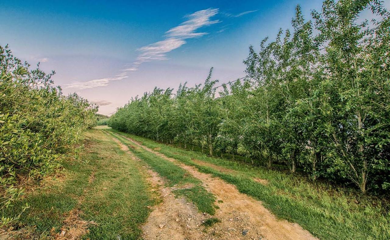 Oudewerfskloof Olive Farm Βίλα Stilbaai Εξωτερικό φωτογραφία